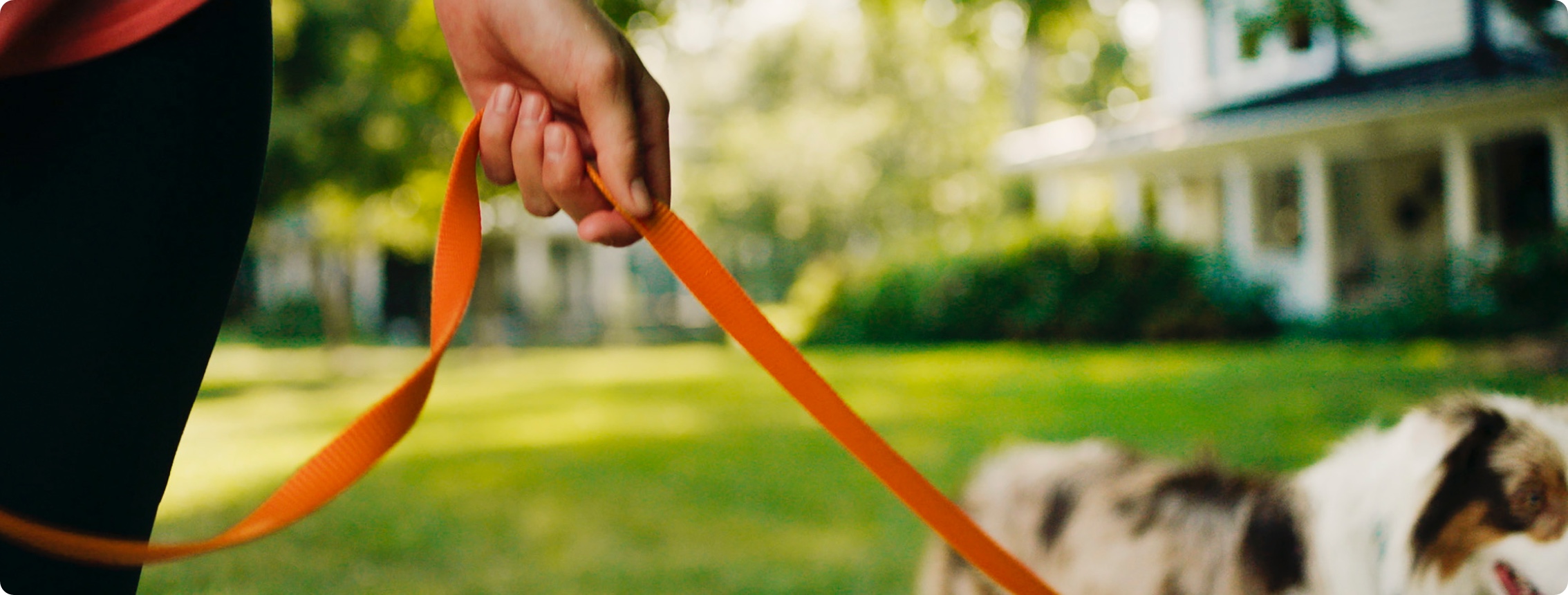 A CIMZIA® patient with psoriatic arthritis walking their dog